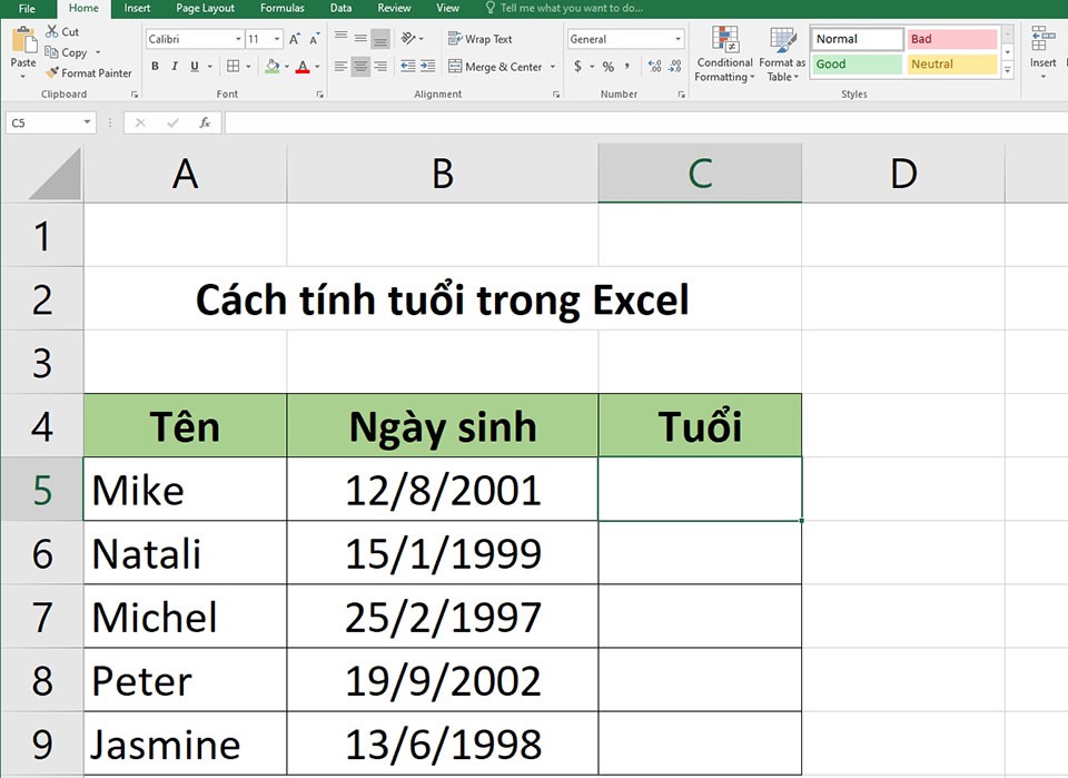 Cách tính tuổi trong Excel - Ảnh 02