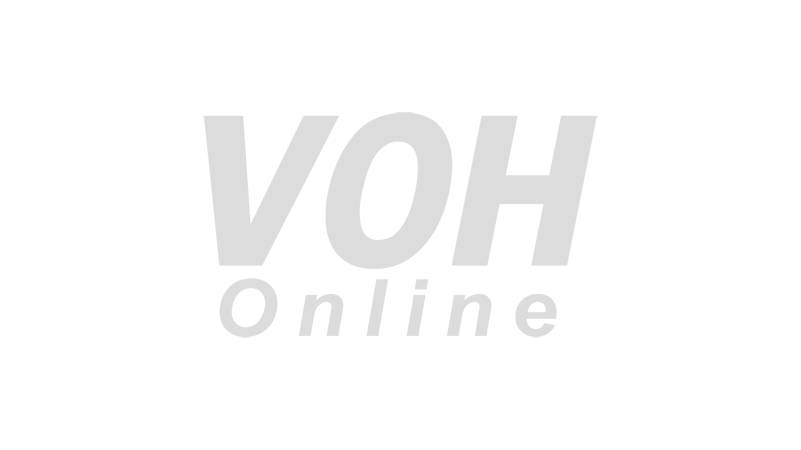 voh.com.vn-tag-la-gi-1