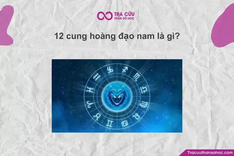 Biểu đồ minh họa 12 cung Hoàng đạo nam