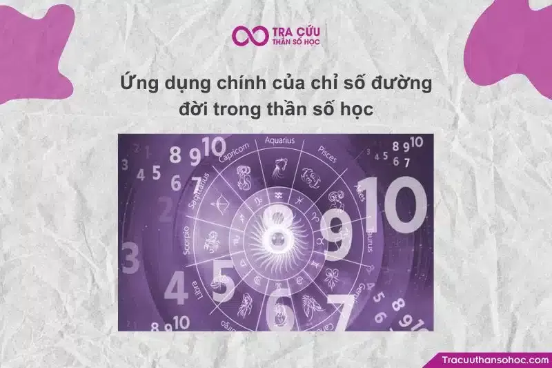 Các ứng dụng thực tiễn của chỉ số đường đời trong cuộc sống