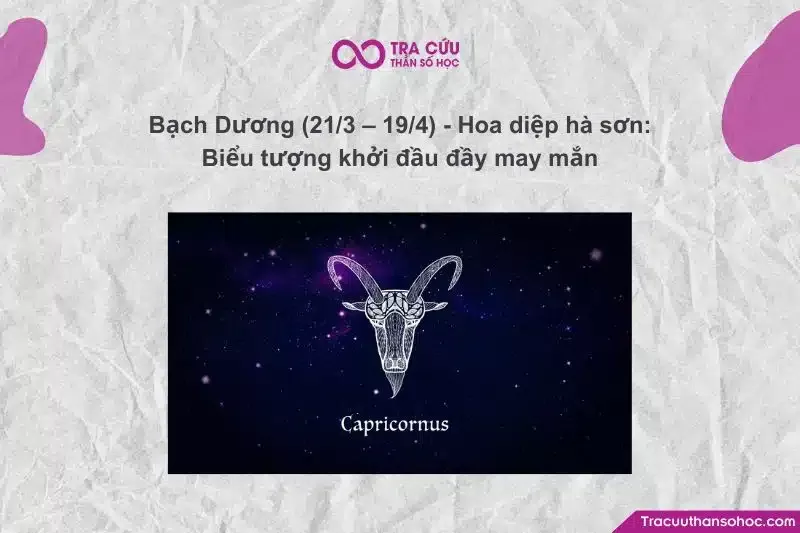 Hoa diệp hà sơn tượng trưng cho tính cách tiên phong, đầy nhiệt huyết của cung Bạch Dương