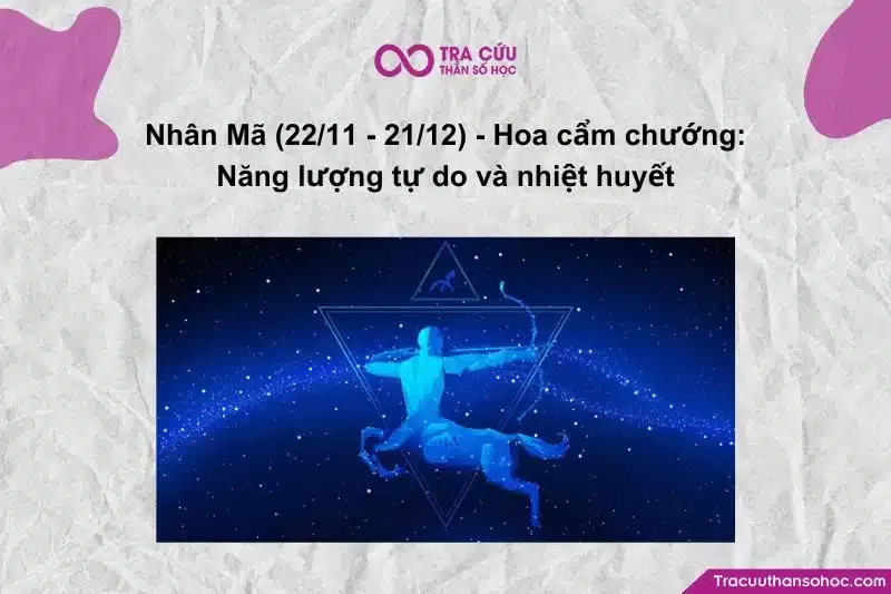 Cẩm chướng rực rỡ tượng trưng cho tinh thần tự do, phóng khoáng của Nhân Mã