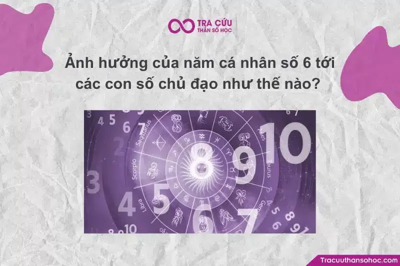 Ảnh hưởng của Năm cá nhân số 6 đến tình cảm và trách nhiệm của mỗi con số chủ đạo