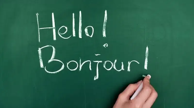 Người phụ nữ đang sử dụng điện thoại để tìm kiếm thông tin